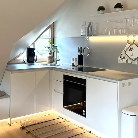 公寓 Ferienhus - Mann & Fru - Og